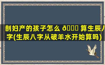剖妇产的孩子怎么 🐈 算生辰八字(生辰八字从破羊水开始算吗)